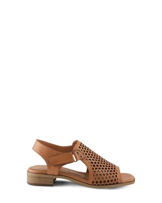 Spring Step Brown Gosset Sandal