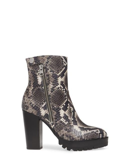 AllSaints Brown Ana Bootie