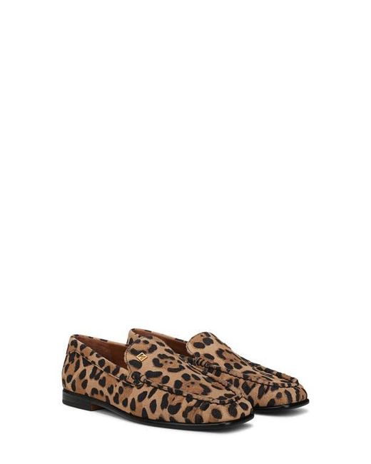 Sarto Brown Lainey Loafer