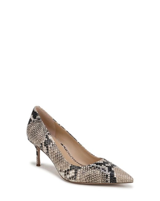 Veronica Beard Multicolor Rita Pointed Toe Pump