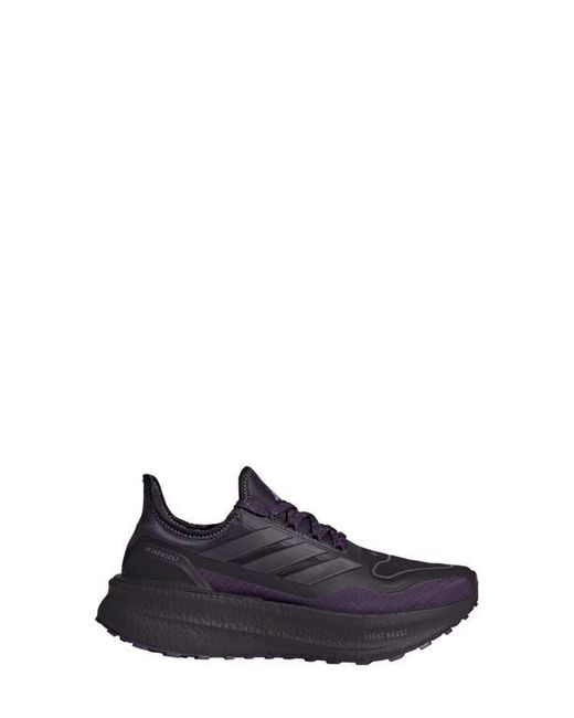 Adidas Blue Ultraboost 5 Gtx Running Shoe