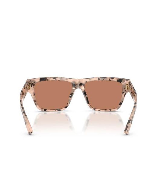 Jimmy Choo Brown 54Mm Rectangular Sunglasses