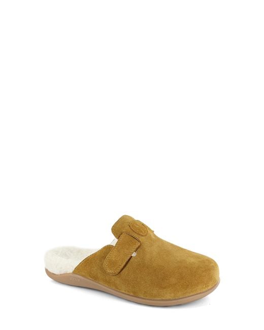 Strive Brown Oslo Clog