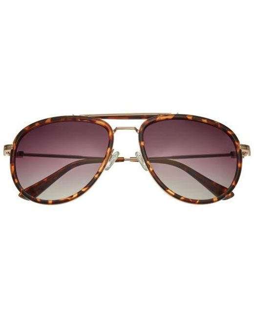 Simplify Brown Maestro Polarized Sunglasses