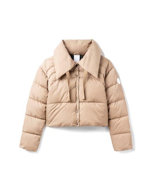 Noize Blue Cropped Puffer Drawstring Jacket