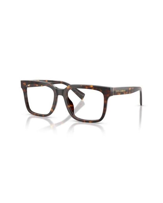 Dolce & Gabbana Brown 53Mm Polarized Square Optical Glasses for men