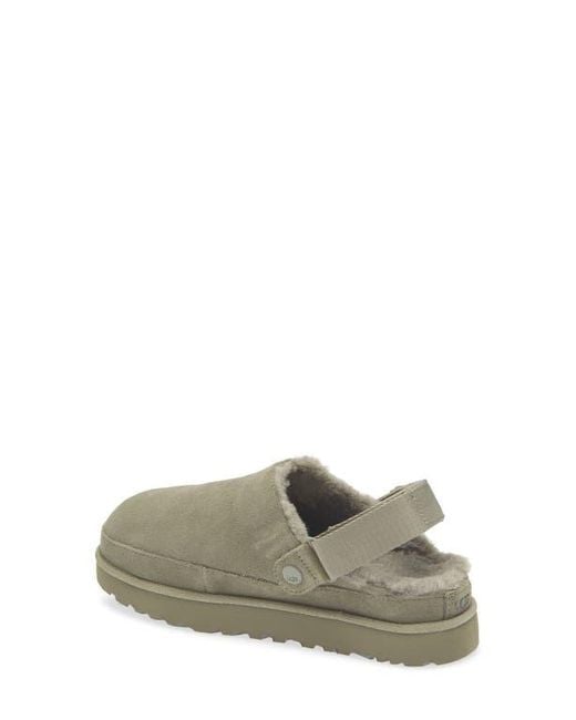 Ugg Gray Goldenstar Cozy Clog