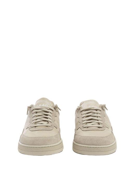 P448 Multicolor Vert Sneaker for men