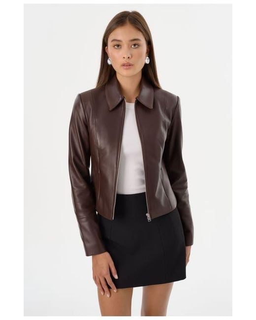 Lamarque Black Oceana