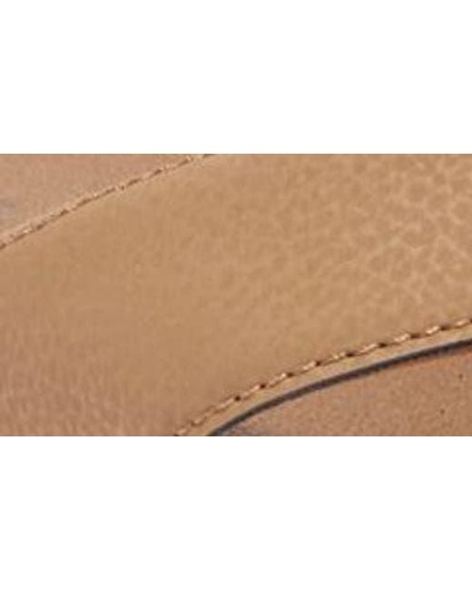 Reef Brown Cushion Bonzer Flip Flip for men