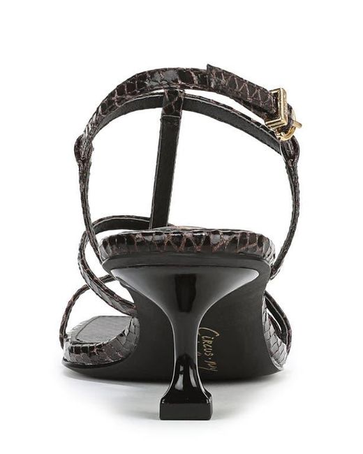 Circus by Sam Edelman Black Jaida Snakeskin Embossed Strappy Sandal