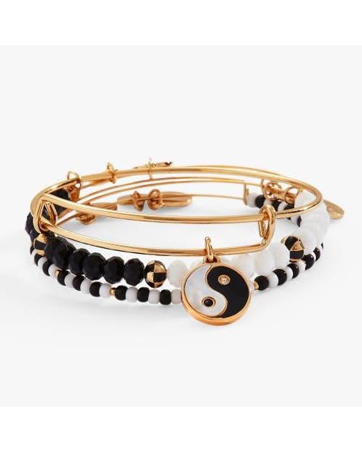ALEX AND ANI Metallic Yin Yang Bangle Bracelet Set Of 3