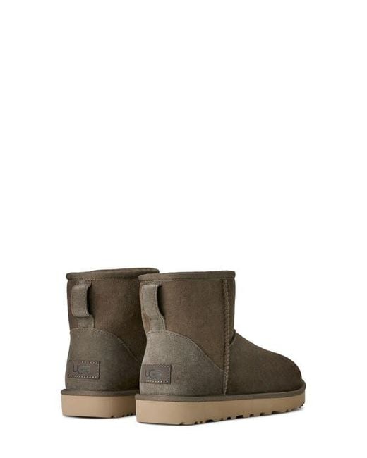 Ugg Brown Ugg Classic Mini Ii Genuine Shearling Lined Boot