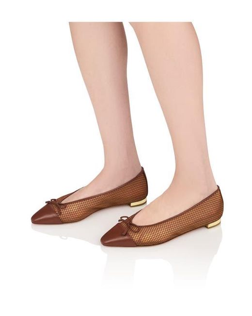 Aquazzura Brown Gioia Cap Toe Ballet Flat
