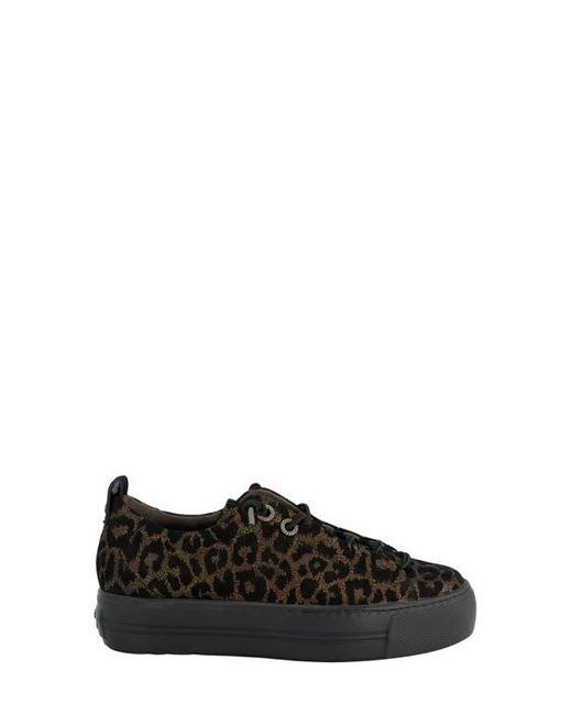 Paul Green Black Wisdom Sneaker