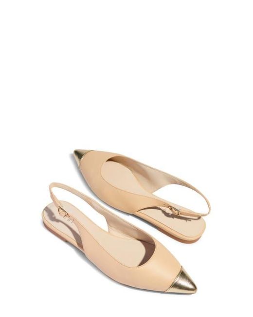 Yosi Samra Natural Vera Pointed Cap Toe Slingback Flat