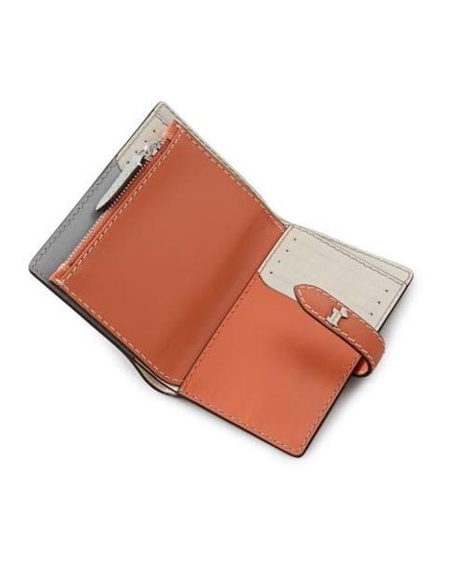 Radley Gray Willis Street