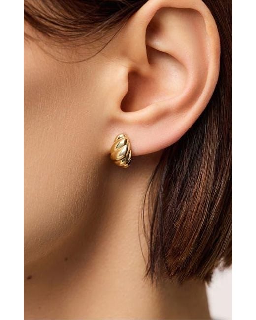 Ana Luisa Metallic Solid