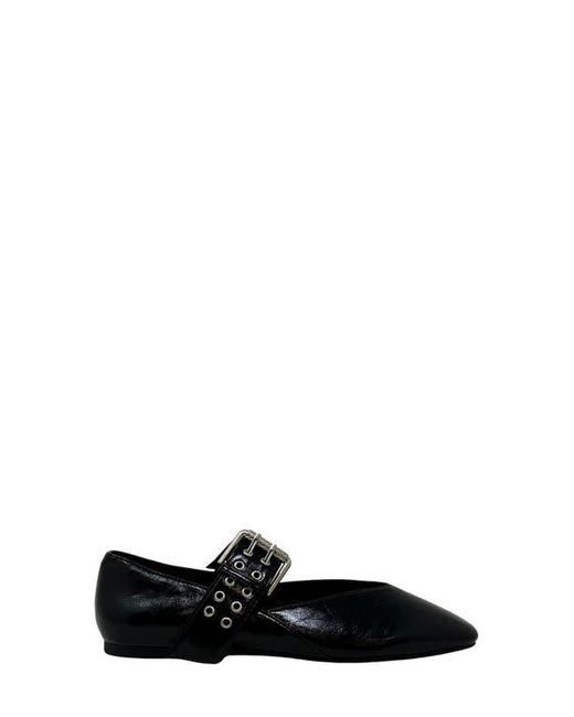 Shu Shop Black Buckle Flat