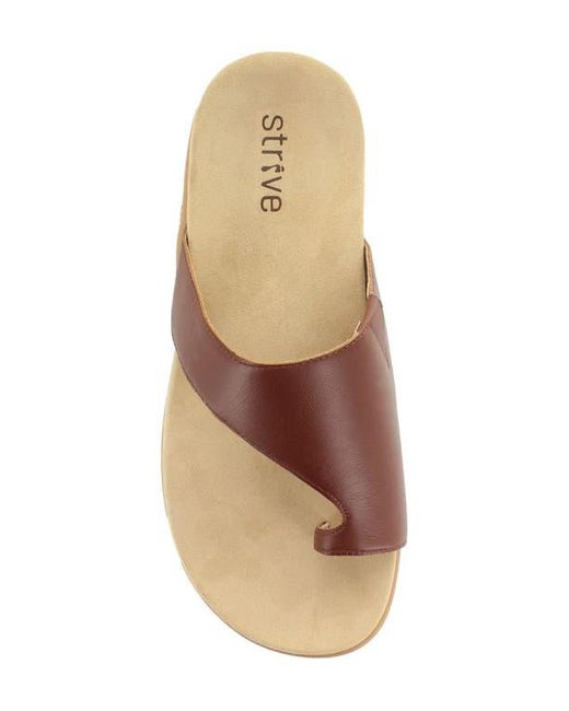 Strive Brown Capri Iii Toe Loop Sandal