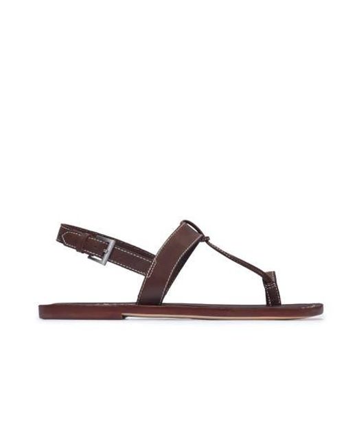 Bernardo Brown Maverick 2 Toe Ring Sandal