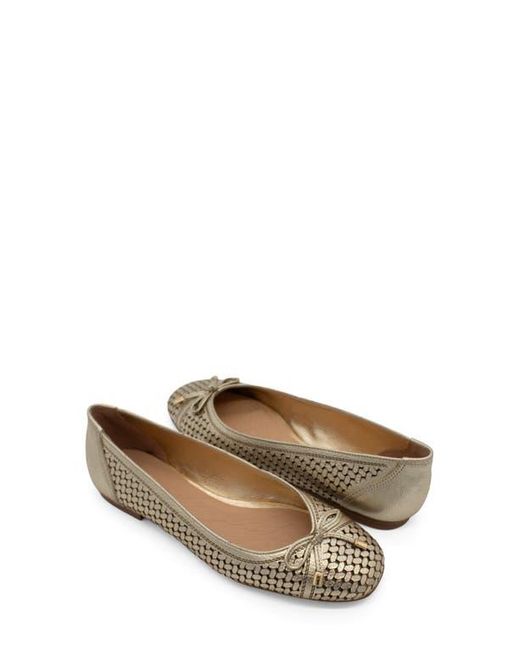 BOTTER Brown Botsamya Ballet Flat