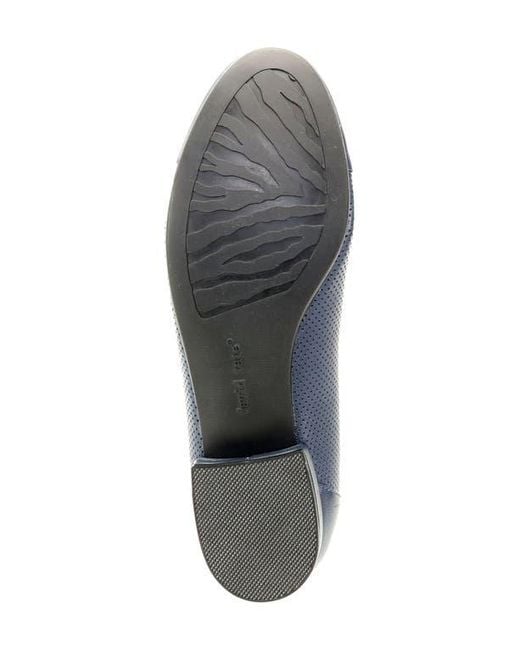 David Tate Blue Newton Cap Toe Flat