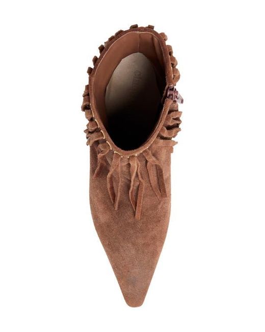 Cinq À Sept Brown Sammy Fringe Bootie