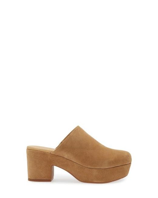 Chocolat Blu Brown Ginette Platform Clog
