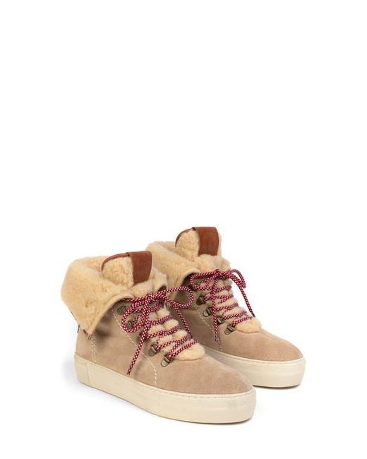 Penelope Chilvers Multicolor Phoenix Wool Bootie