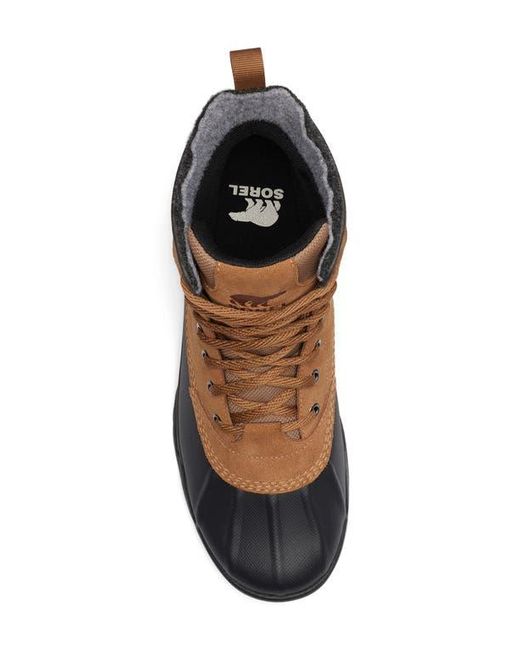 Sorel Brown Buxton Lite Waterproof Boot for men