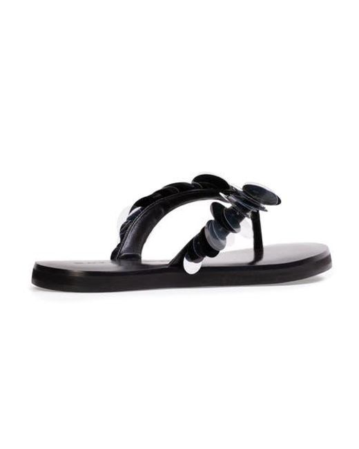 Black Suede Studio Blue Glw Flop