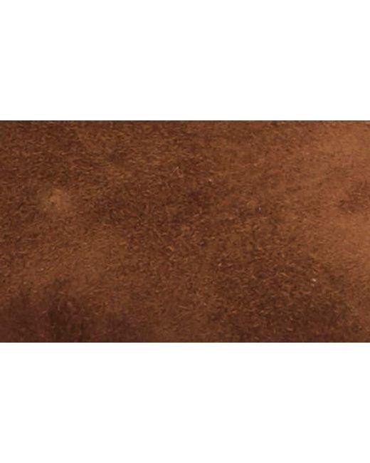 Steve Madden Brown Mod Pointed Toe Mule Pump