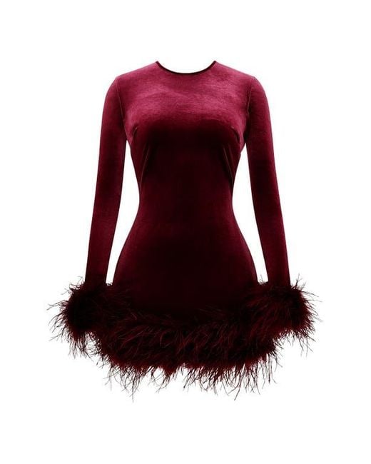 fit & flare long sleeve mini dress Intense defense feather mini dress in Burgundy