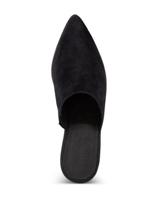 Chocolat Blu Black Cellia Pointed Toe Mule