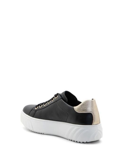 Ara White Mikky Platform Sneaker