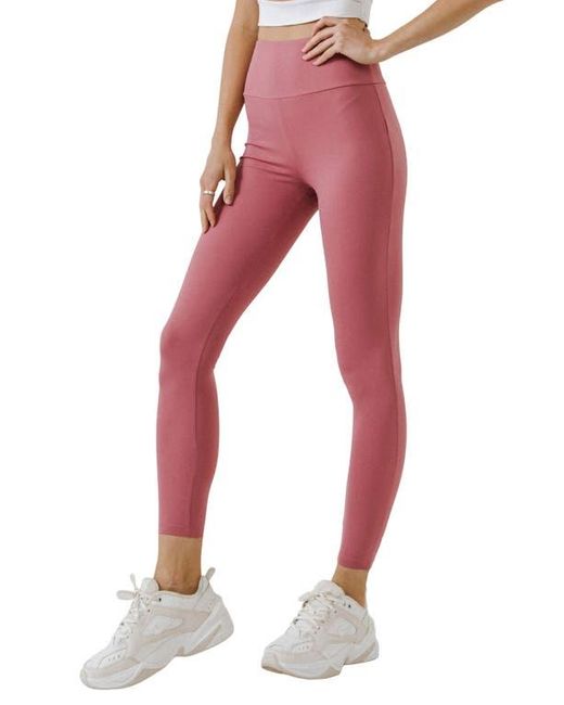 Grey Lab Red Leggings