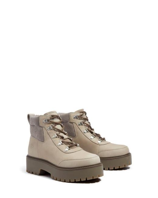 Timberland Multicolor Stone Street Platform Hiking Boot