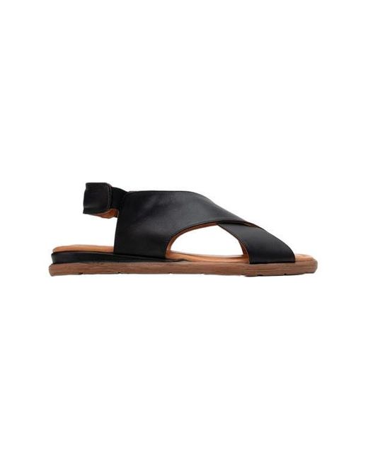 Forever & Always Shoes Multicolor Broods Elastic Leather Slip On Sandals