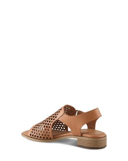 Spring Step Brown Gosset Sandal