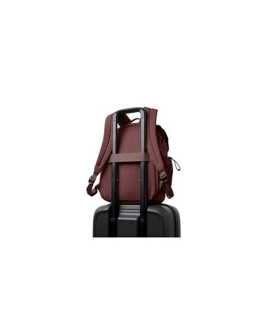Bellroy Brown Cinch 20L Backpack