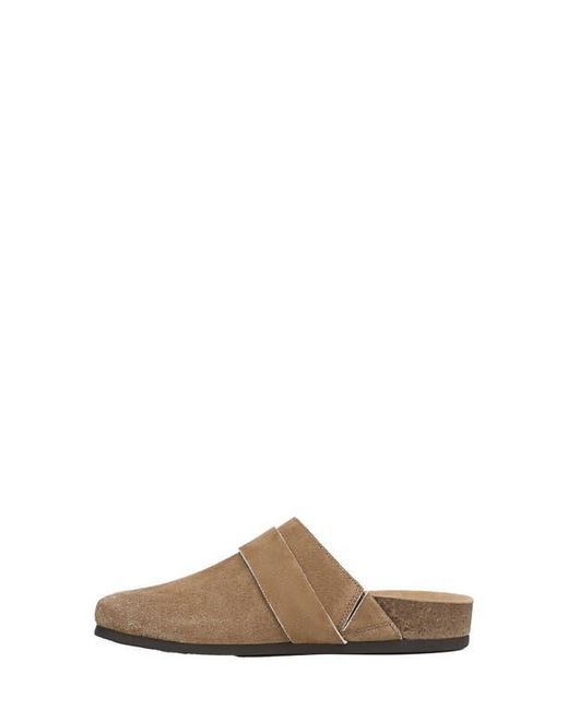 Sam Edelman Brown Alyce Mule