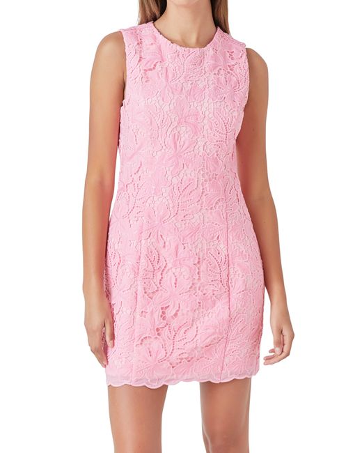 Endless Rose Pink Sequin Lace Minidress