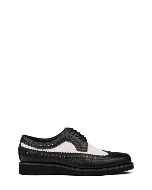 MARC NOLAN Black Alexander Wingtip Derby for men
