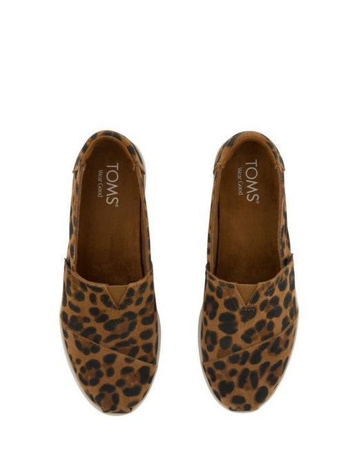 TOMS Brown Alpargata Plus Slip-On