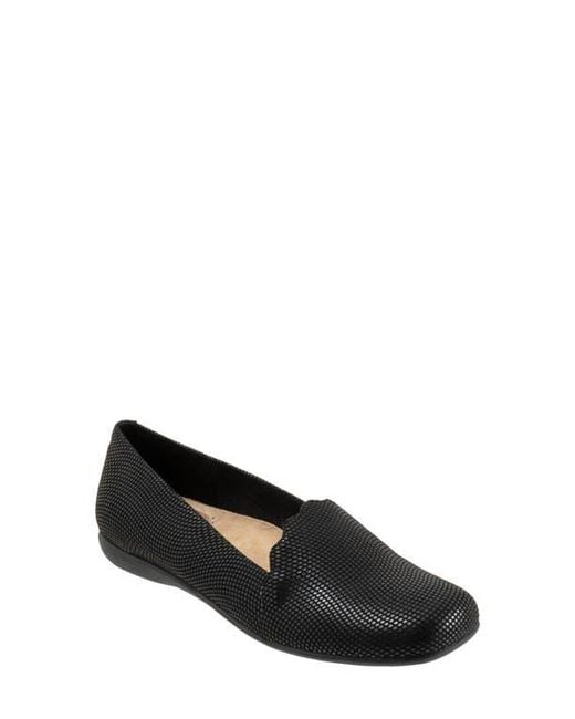 Trotters Black Sage Flat