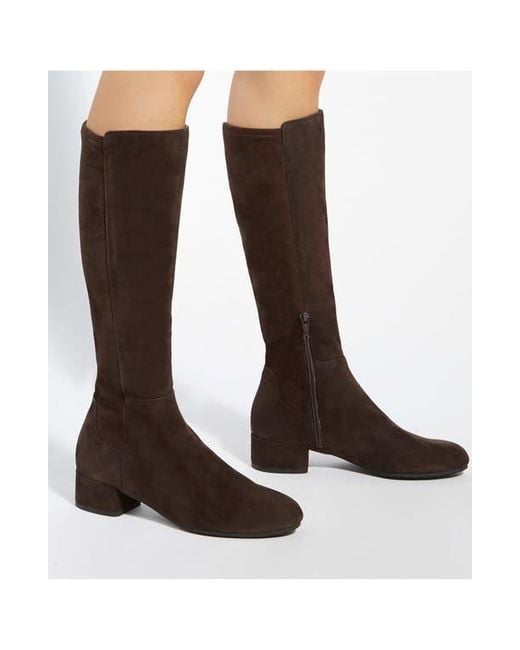 Dune Brown Tayla Knee High Boot