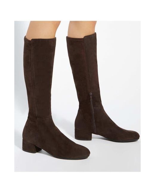 Dune Brown Tayla Knee High Boot