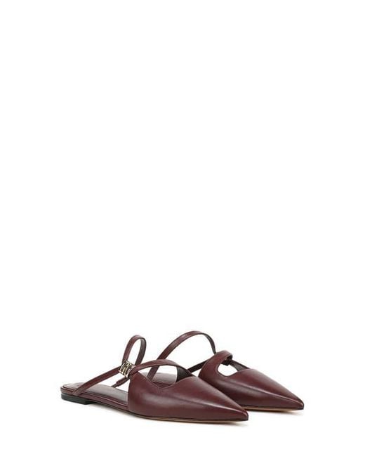Vince Brown Gilia Strappy Pointed Toe Flat Mule