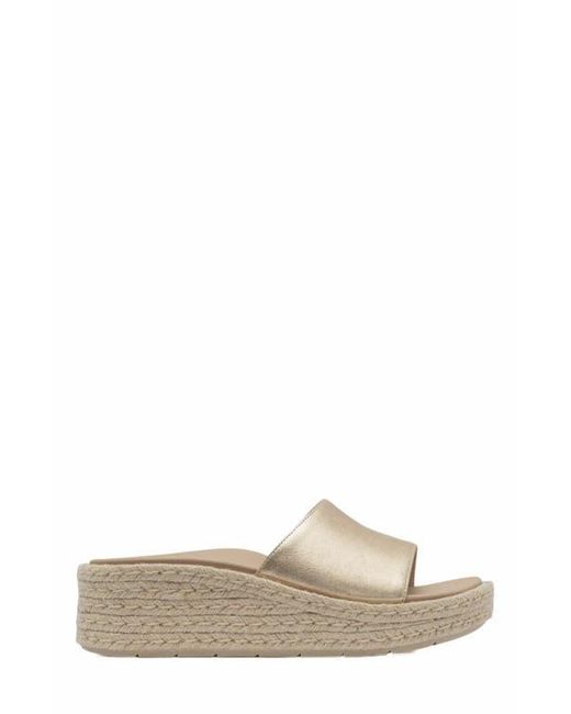ABEO Multicolor Solstice Slide